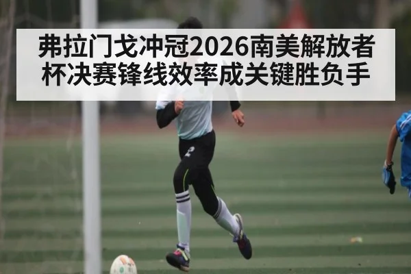 弗拉门戈冲冠2026南美解放者杯决赛锋线效率成关键胜负手